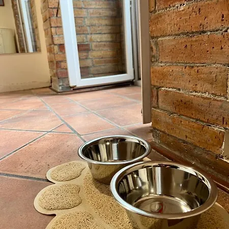 Domus Elena - Plebiscito *