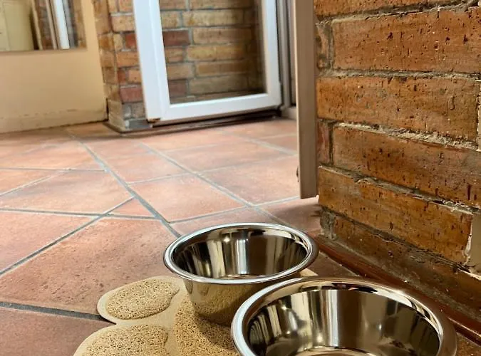 Domus Elena - Plebiscito *